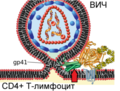 Миниатюра для версии от 16:45, 10 августа 2014