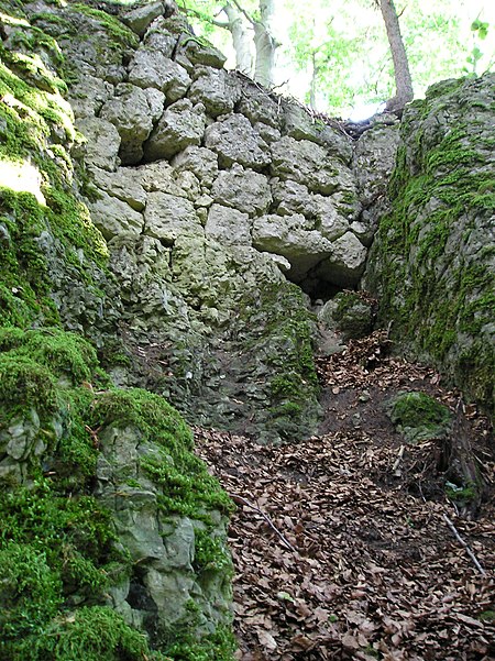 Haidhof Schlossberg Mauerreste