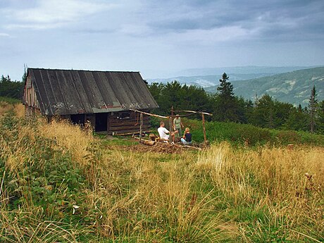 Hala Mędralowa