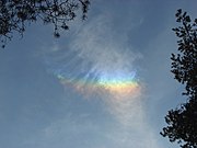 Halo in cirrocumulus  