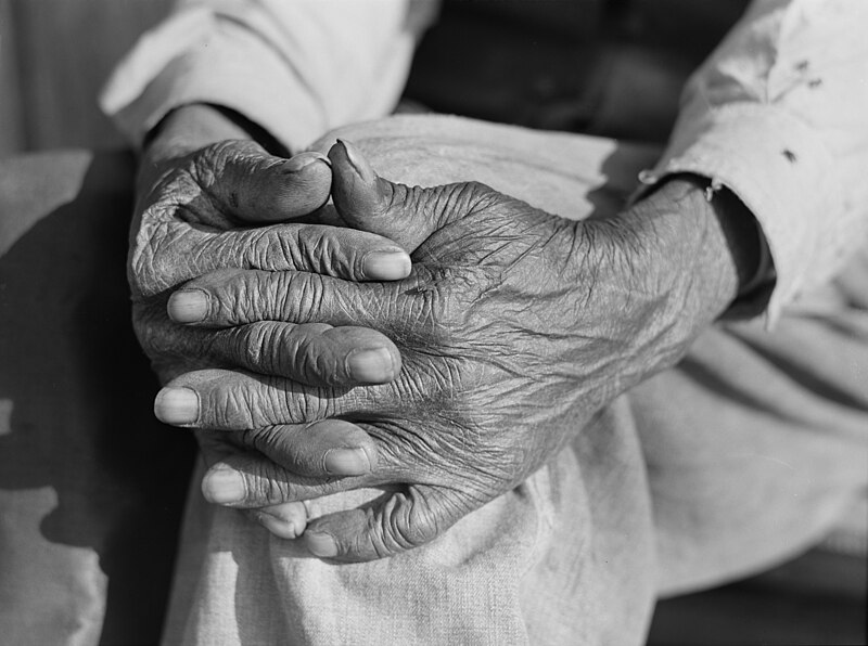 File:Hands of Mr. Henry Brooks, 8c05678a.jpg