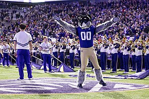 The current University of Washington Mascot Harry the Husky Harry The Husky With Flag.jpg