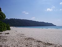 Praia de areia com manguezais