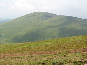 Hedgehope Hill