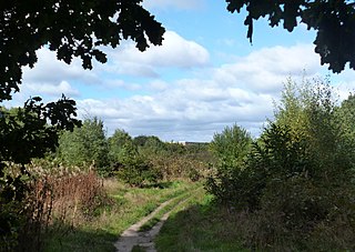 <span class="mw-page-title-main">Highwood, Wokingham</span>