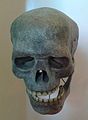 Ricostruzione ossea del cranio di Cro-Magnon