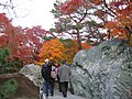 2008年1月4日 (金) 08:02時点における版のサムネイル