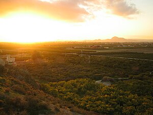 Vega Baja Del Segura: Municipios, Geografía, Historia