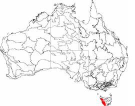 IBRA 6.1 Tasmania Barat.png