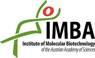 <span class="mw-page-title-main">Institute of Molecular Biotechnology</span>