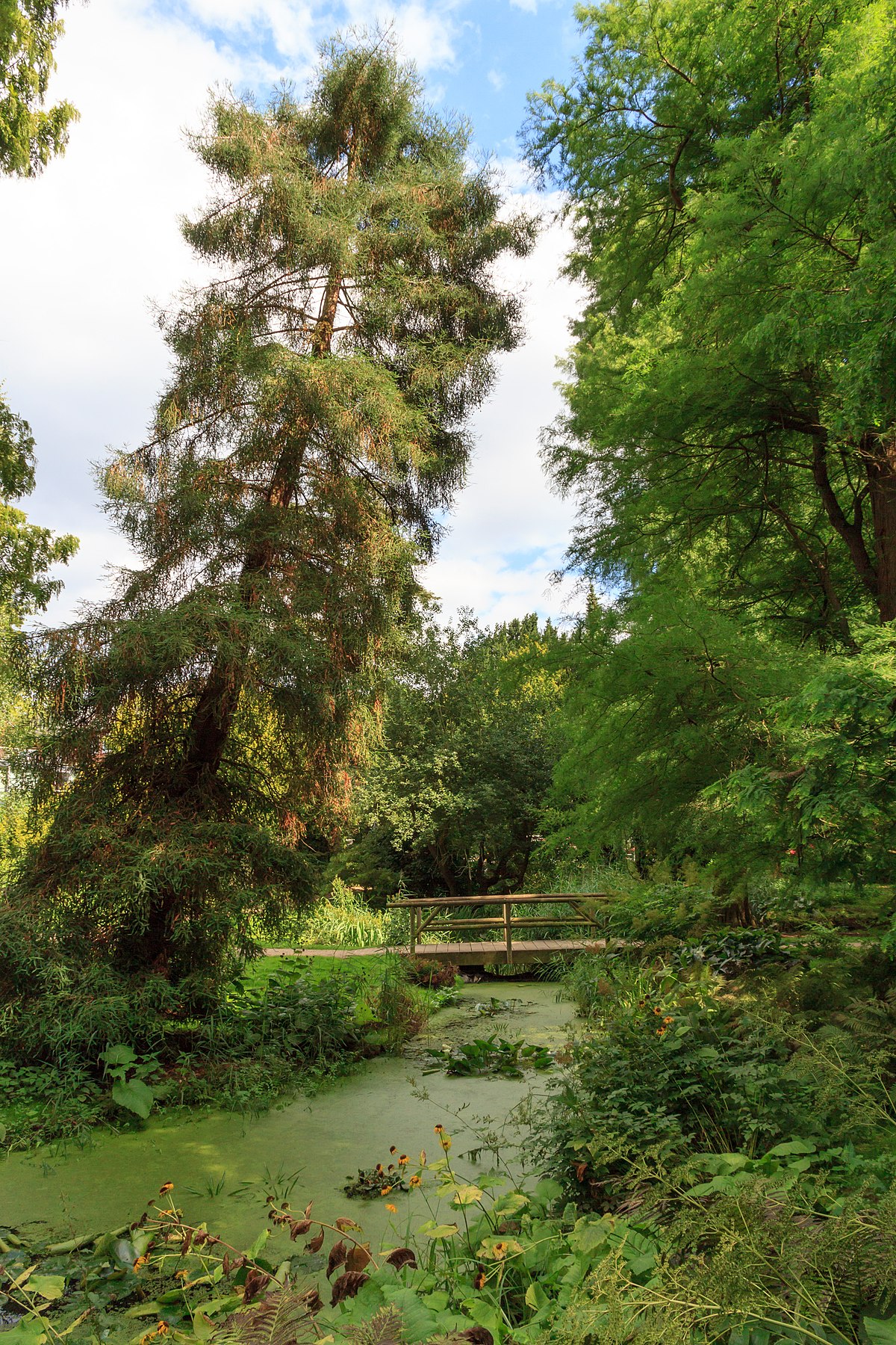 Alter Botanischer Garten Kiel Wikipedia