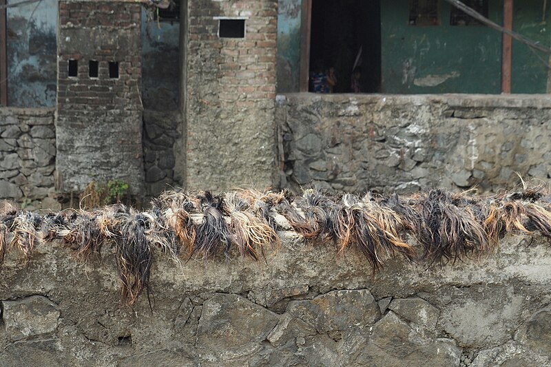 File:Ind18-116 poor-females-hair-drying-along-Mumbai-road.jpg