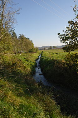 Dubský potok u Javornice