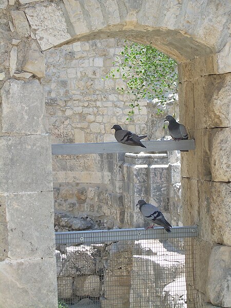 File:Jerusalem, St Anne 3857.JPG