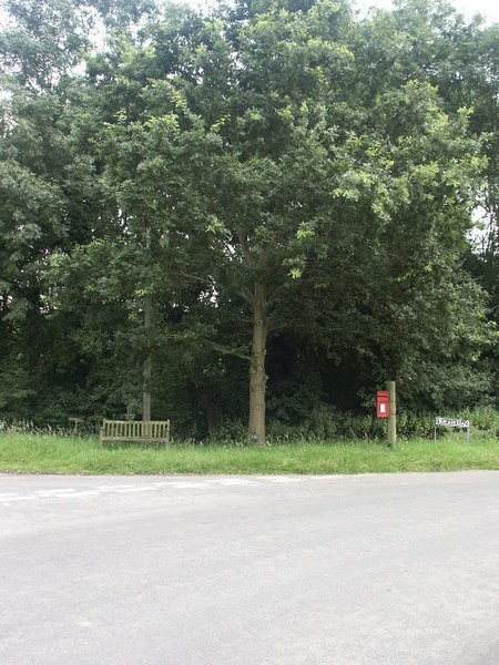 File:Jubilee tree, Ketteringham - geograph.org.uk - 31855.jpg