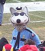 KC Wolf as a cop