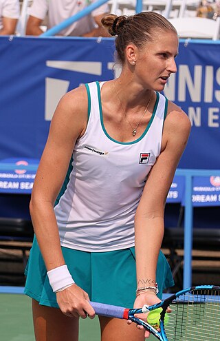 <span class="mw-page-title-main">Karolína Plíšková career statistics</span>