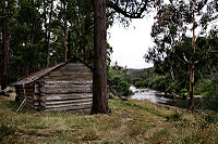 Kennedy's hut.jpg