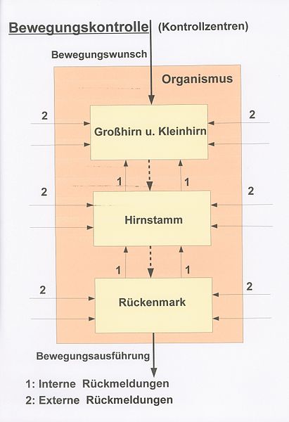 File:Kontzentren.jpg