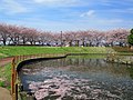 しらさぎ公園 (久喜市)のサムネイル