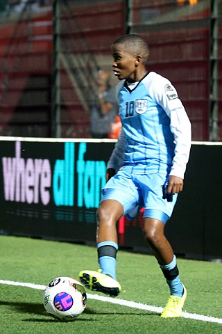 <span class="mw-page-title-main">Lesego Radiakanyo</span> Motswana footballer