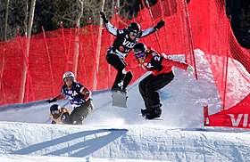 LG Snowboard FIS World Cup (5435318599).jpg