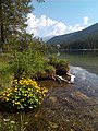 Lago di Dobbiaco (15).jpg3 120 × 4 160; 3,91 MB