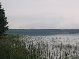 Ežero pakrantė