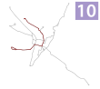 Linia tramwajowa nr 10 w Szczecinie.svg