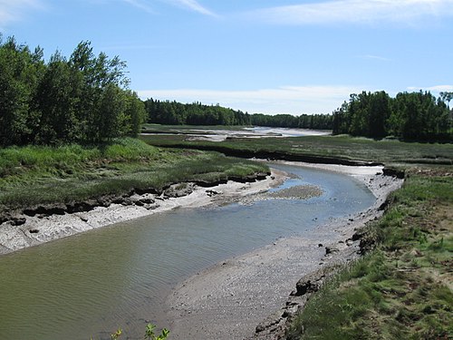 Little River in Perry, Maine, 2012.jpg