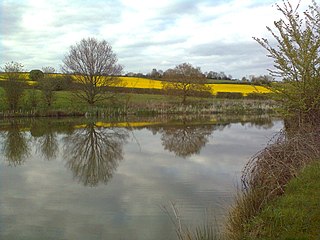 <span class="mw-page-title-main">Woodford Bottom and Lamb's Pool</span>