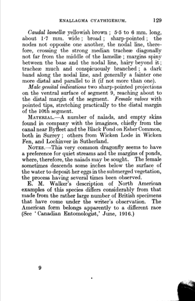 File:Lucas - Naiad Stage of Dragonflies Page142.png