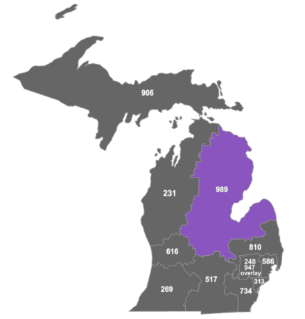 Map of area code 989 in Michigan.