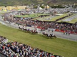 Horse racing in Mauritius.JPG