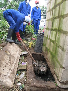 <span class="mw-page-title-main">Sanitation worker</span> Person who is responsible for the cleaning and maintaining of a sanitation technology