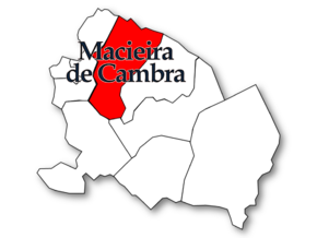 Localização no município de Vale de Cambra