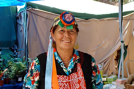 Người_Mapuche