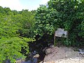 Site naturel protégé du marais de Port-Louis.