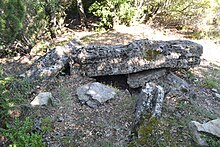 Der Dolmen La Table des Morts