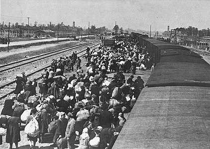 Arribada de deportats a Auschwitz, baixant per la rampa de Birkenau. Les xemeneies al fons pertanyen als forns crematoris II i III, on es troben les sales de desposseïment i les cambres de gas subterrànies (1944)