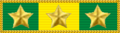 Medalha Militar de Ouro com passador de ouro (30 anos).png