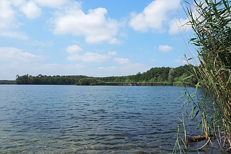 Moenchwaldsee vom Nordufer