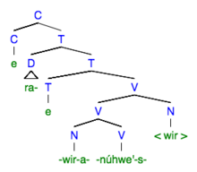 Figure 2: Simplified syntax tree of noun incorporation in Mohawk following Baker's head movement hypothesis Mohawk Noun Incorporation Syntax Tree.png