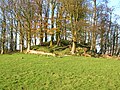 Mound at Polnoon Castle.JPG