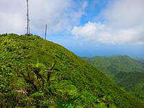 Puncak Gunung Saint Catherine.jpg