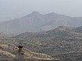 Mt. Abu, Rajasthan.jpg