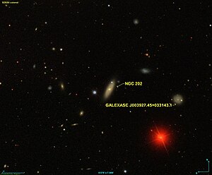 NGC 202 SDSS