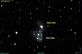 NGC 2445