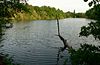 Töneböns ponds