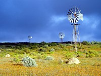 Northern Cape